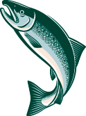 green silver salmon